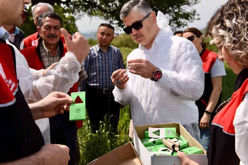 Balıkesir’de hububatta biyolojik süne mücadelesi başladı
