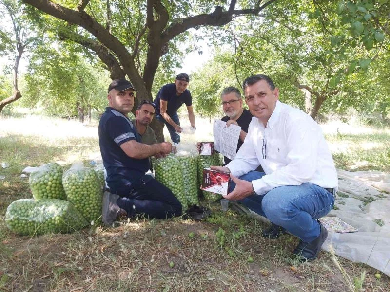 Eski Muhtar’ın aşısı, önce damaklarda taht kurdu şimdi de panzehir olarak kullanılacak
