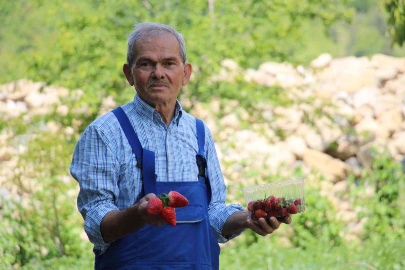 Emekli madenci hayatını tarıma adadı; şimdi siparişe yetişemiyor
