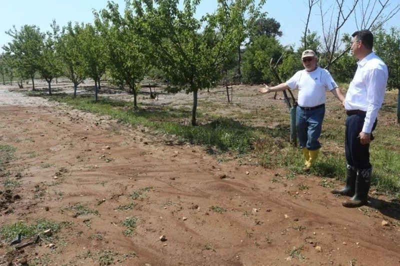 Kırklareli’nde dün etkili olan dolu tarım arazilerine zarar verdi
