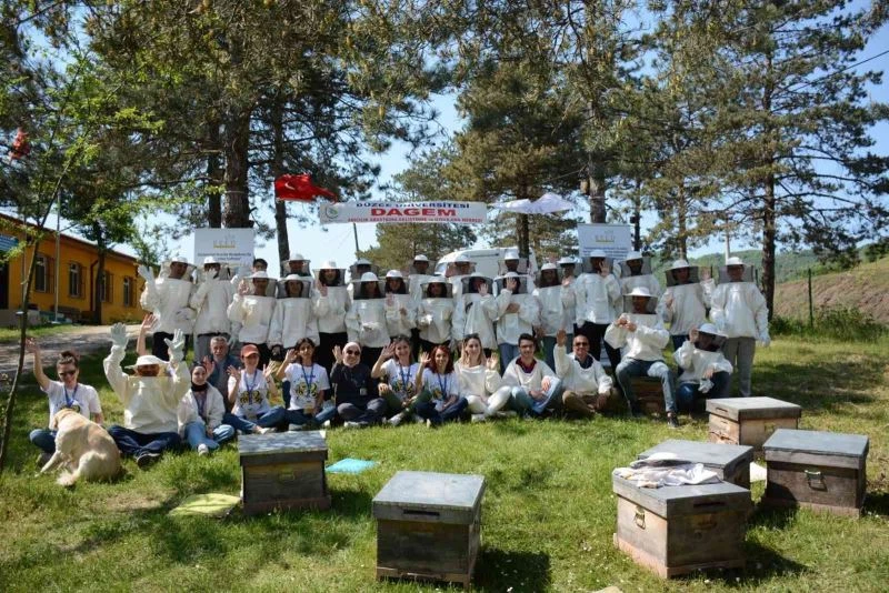 Ekosistemin geleceği arıların kanatlarında
