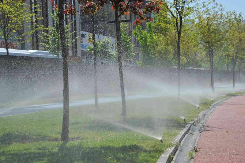 Samsun’da sivrisineklere karşı etkin mücadele başlatıldı
