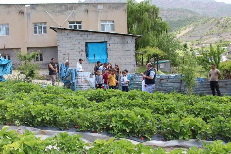 Şırnak’ta faaliyete giren projelerle ailelerin ekonomisine katkı sağlanıyor
