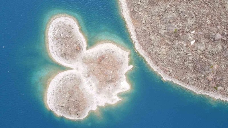 Martı Adası’nın müdavimleri dönmeye başladı
