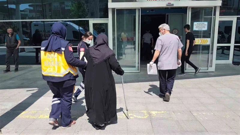 Tedavi sırasında vücudunda kene olduğu fark edildi
