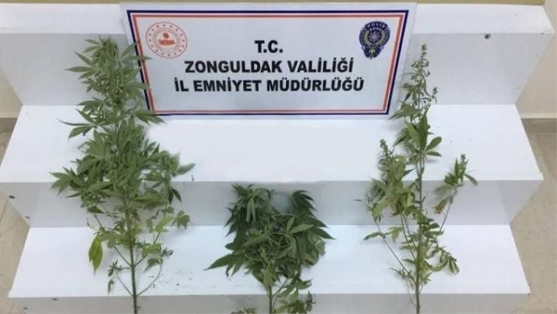 Zonguldak’ta uyuşturucu operasyonu: 1 şüpheli yakalandı
