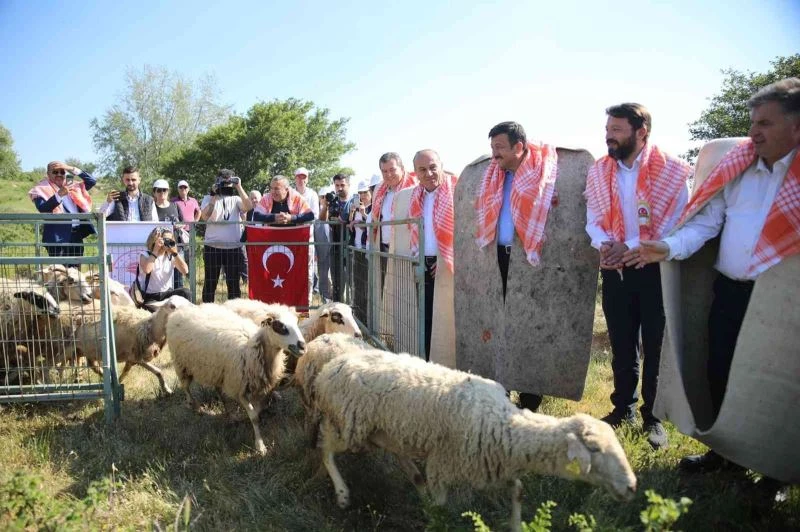 Bergama’da hayvan otlatma sezonu açıldı
