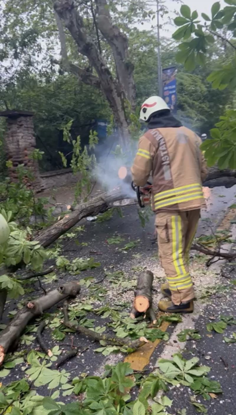 Üsküdar’da seyir halindeki araçların üzerine ağaç devrildi
