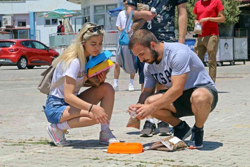 Üniversiteli öğrenciler, yerleşkedeki sokak hayvanlarını unutmadı
