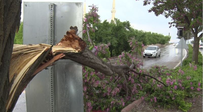 Elazığ’da fırtına sonrası çatılar uçtu, ağaçlar devrildi
