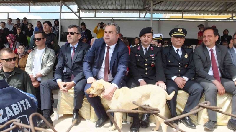 Balıkesir’de 19 Mayıs törenlerinde protokol tribününe çıkan köpek ilginç görüntüler oluşturdu
