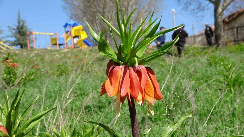 Kar ’Ağlayan Gelin’in yüzünü güldürdü
