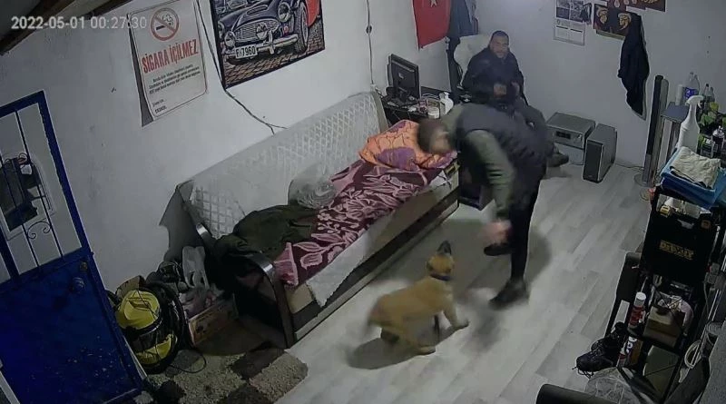 Bir anda havlayan köpekten aklı çıktı
