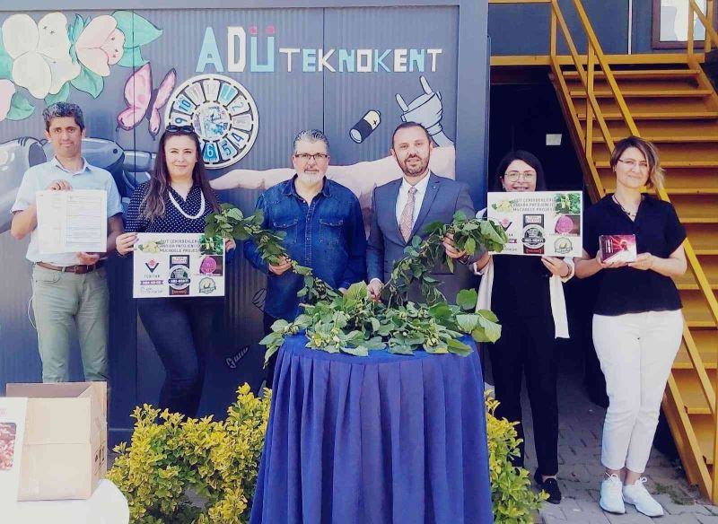 Bu defa beyaz dut çekirdekleri üzerinde çalıştılar, Candida Patojeni için umut oldular
