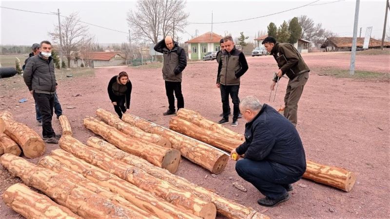 Kütahya’da orman satış depolarında uygulamalı eğitim
