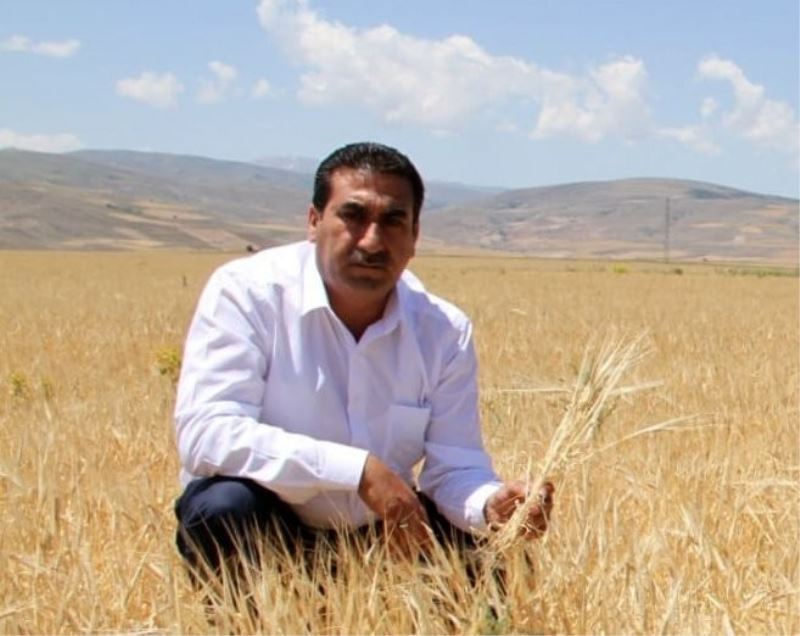 Erzincan Ziraat Odası Başkanı Geyik: “Türkiye’de buğday hasadına ramak kala sektörün fiyat beklentisi giderek artmaktadır”
