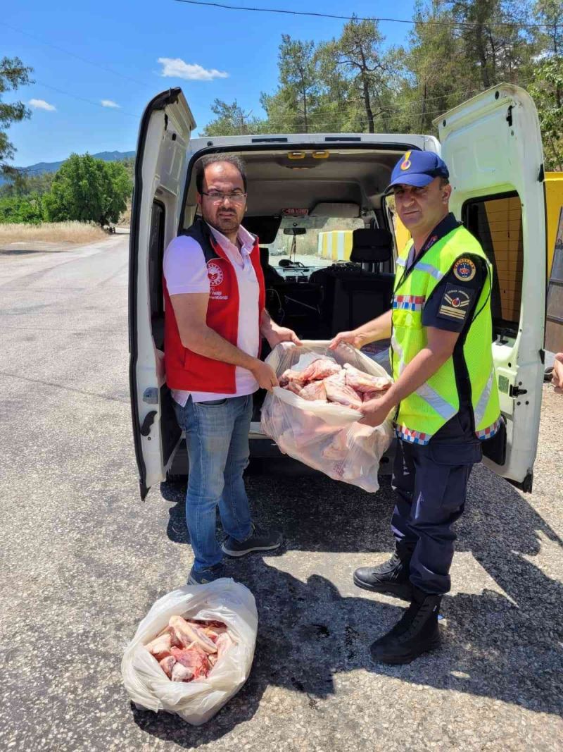 Jandarma Muğla’da 300 kilo kaçak et yakaladı
