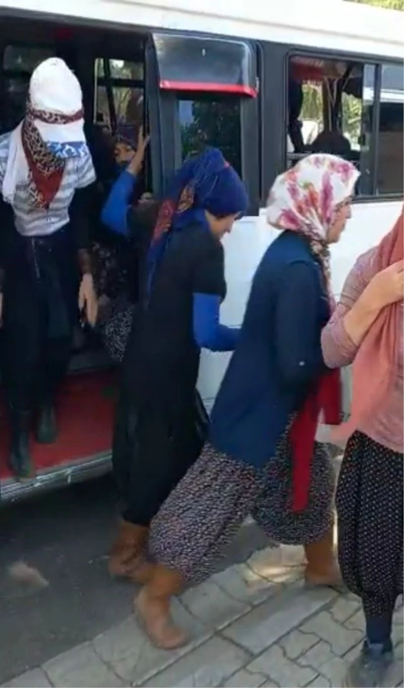 14 kişilik minibüsten 33 kişi çıktı
