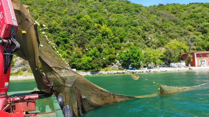 İstanbul Boğazı’nda balık avlamak için kaçak dalyan kurdular
