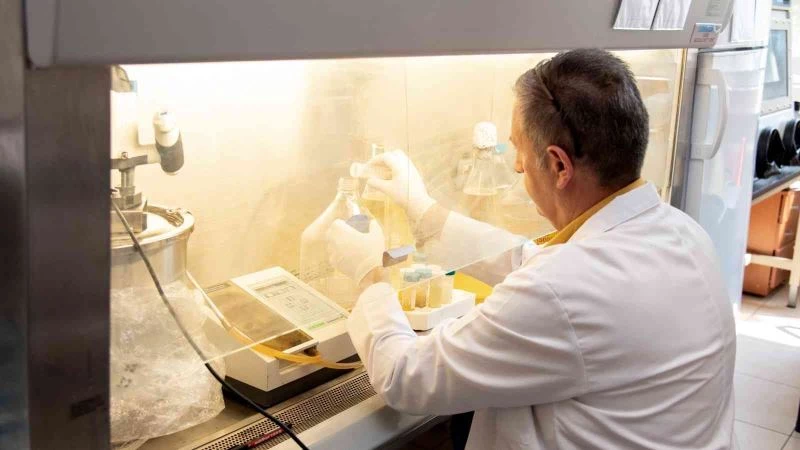 Yenidoğan hayvanlarda enfeksiyona bağlı kayıplar azaltılacak
