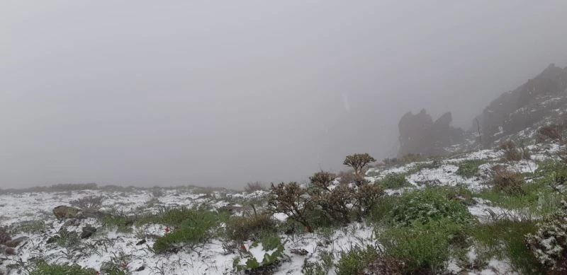 Mevsimler karıştı: Mayıs sonunda şaşkına çeviren görüntü
