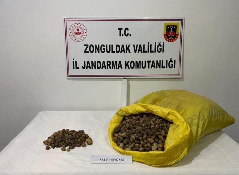 40 kilo salep soğanı için 218 bin TL ceza yediler
