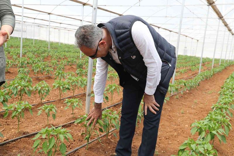 Eyyübiye seraları açılışa gün sayıyor
