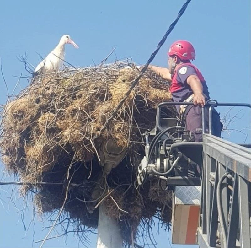 Yuvasından düşen yavru leyleğin imdadına itfaiye yetişti

