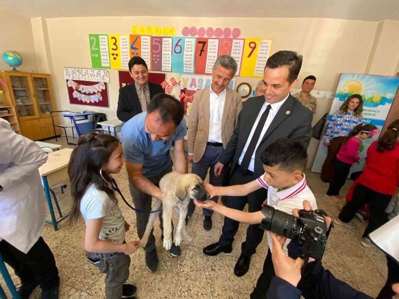 Kabadüz’de minik öğrencilere hayvan sevgisi aşılandı
