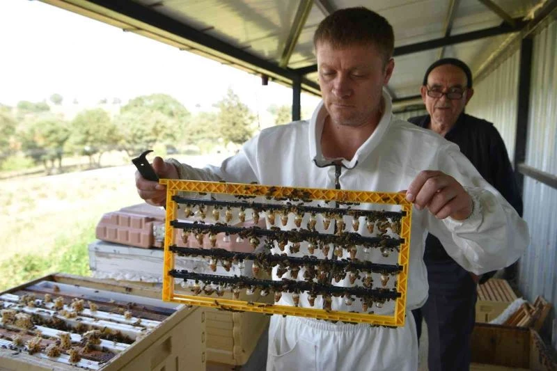 Büyükşehir’inin ana arıları yeni evlerine uçtu
