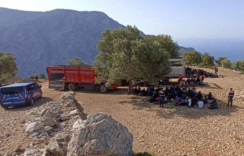 Muğla’da 237 düzensiz göçmen yakalandı
