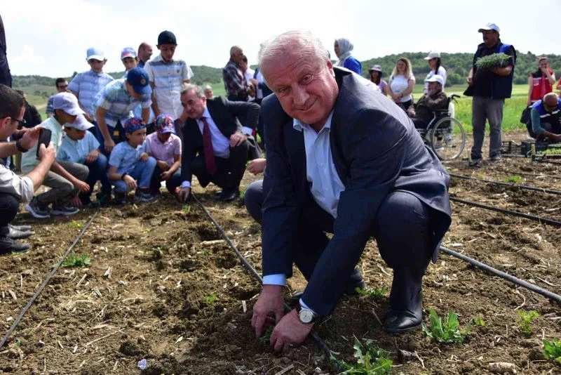 Sebze Yetiştiriciliği Kursu’nda fide ve tohumlar toprakla buluştu
