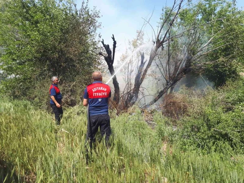 Dere içerisindeki ağaçlar yandı
