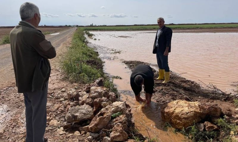 Sel, Suruç’ta ekili arazilere zarar verdi
