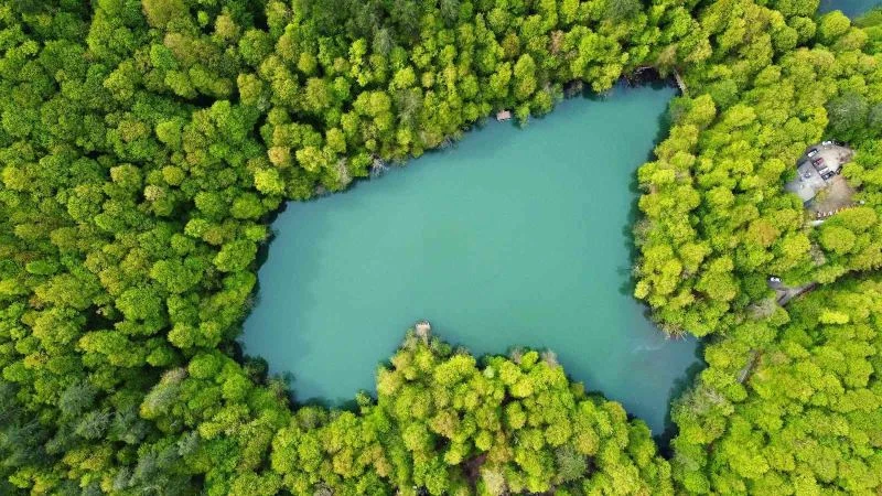 Yedigöller Milli Parkı, bayram tatilinde ziyaretçilere keyifli anlar yaşattı

