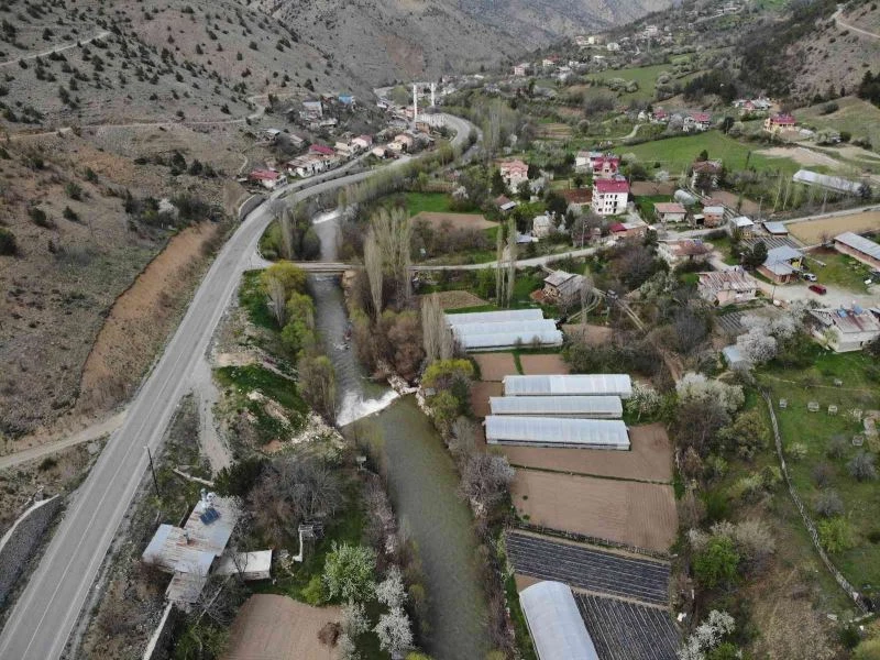 Gümüşhaneli çiftçilere destek sağlandı, üretim arttı
