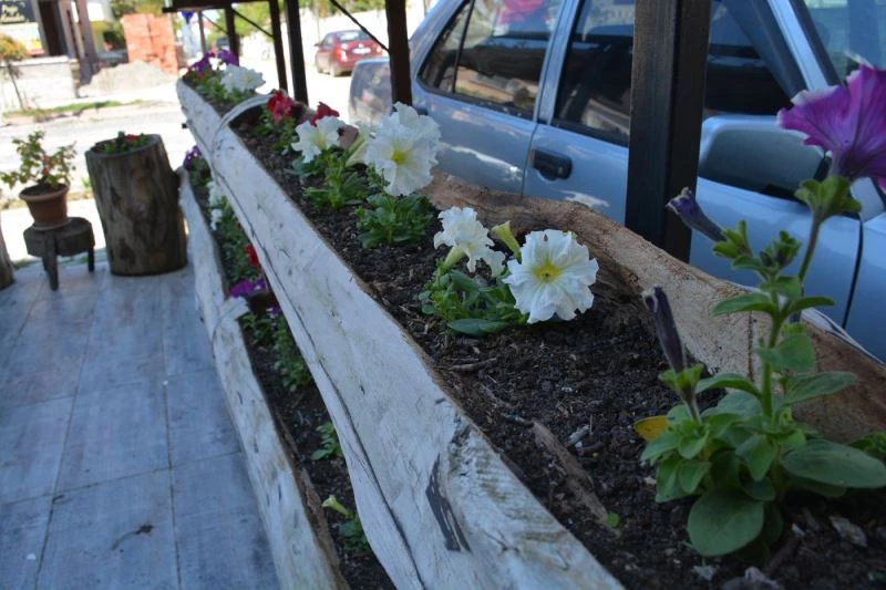 Doğada çözünmeyen ürünleri kullanarak dükkanının önüne bahçe yaptı
