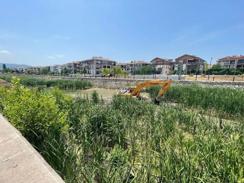 Yalova Belediyesi’nden Safran Deresi’nde temizlik çalışması
