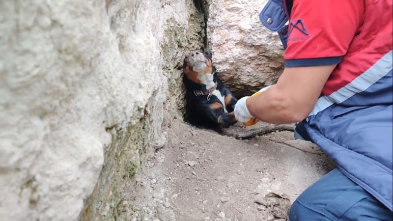 Tilkinin peşinden girdikleri obrukta sıkışan köpekleri itfaiye kurtardı
