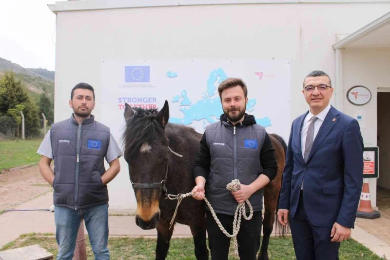 At ile insan ilişkisi içerisinde Hippoterapi yöntemi
