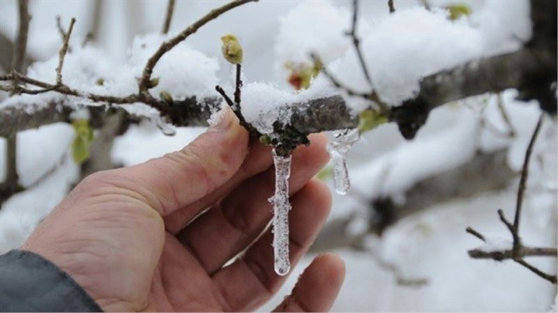 Meteorolojiden zirai don ve kırağı uyarısı
