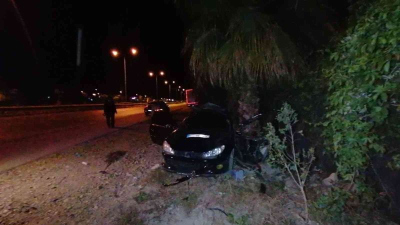 Otomobil takla atıp palmiyeye çarptı: 1 ölü
