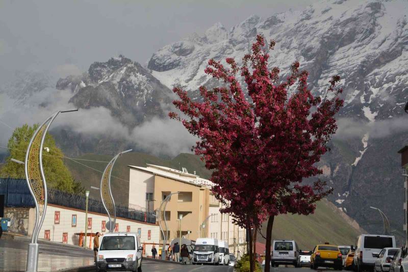 Sümbül Dağı’na kar yağdı
