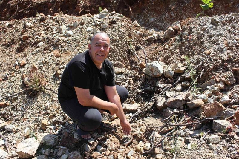 Fidan dikerken bulunan cüzdanın 20 yıl önce çalındığı ortaya çıktı
