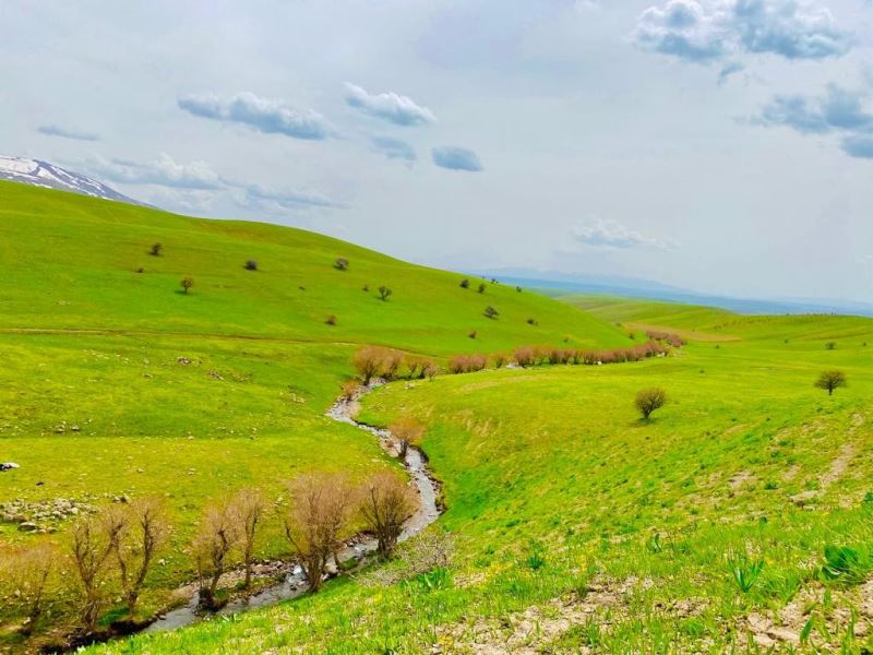 Ağrı’da yeniden canlanan doğa büyülüyor
