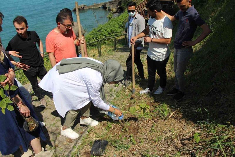 Avrasya Üniversitesi yerleşkesinde fidan dikimi
