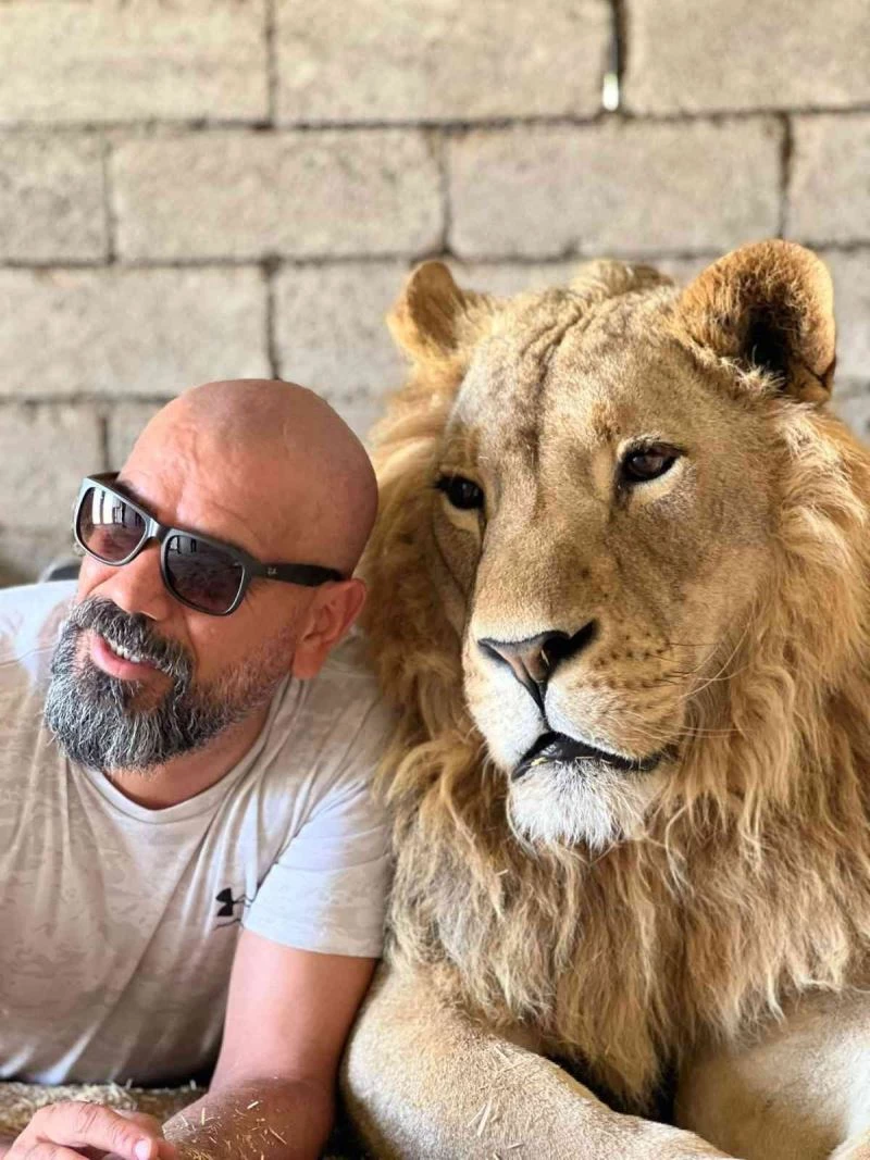 Aslanlara fısıldayan Akbey, “Onları duymak için emek, sabır, özveri ve sevgi gerek”
