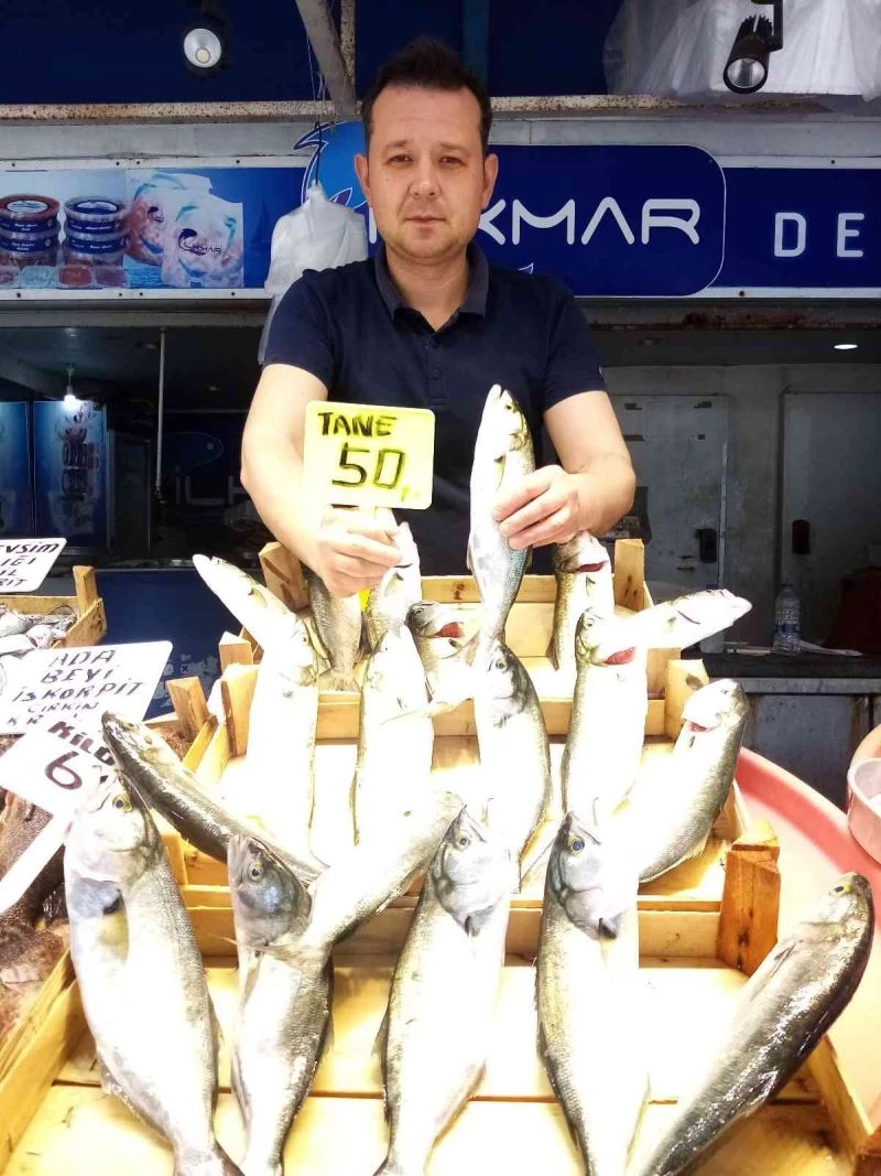 Marmara’da lüfer bereketi
