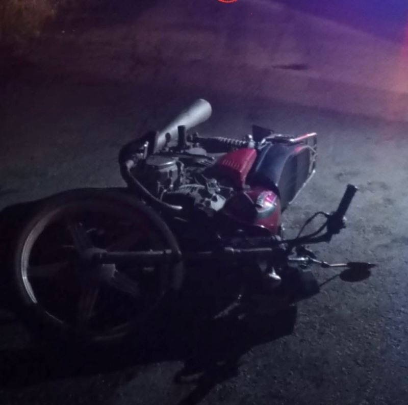 Manisa’da motosiklet yaban domuzuna çarptı: 1 yaralı
