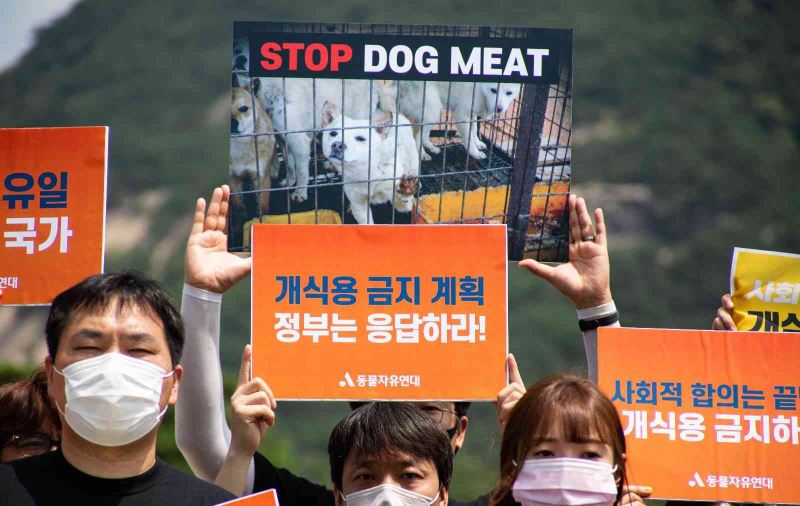 Güney Kore First Lady’si Kim, ülkedeki köpek eti tüketimini eleştirdi

